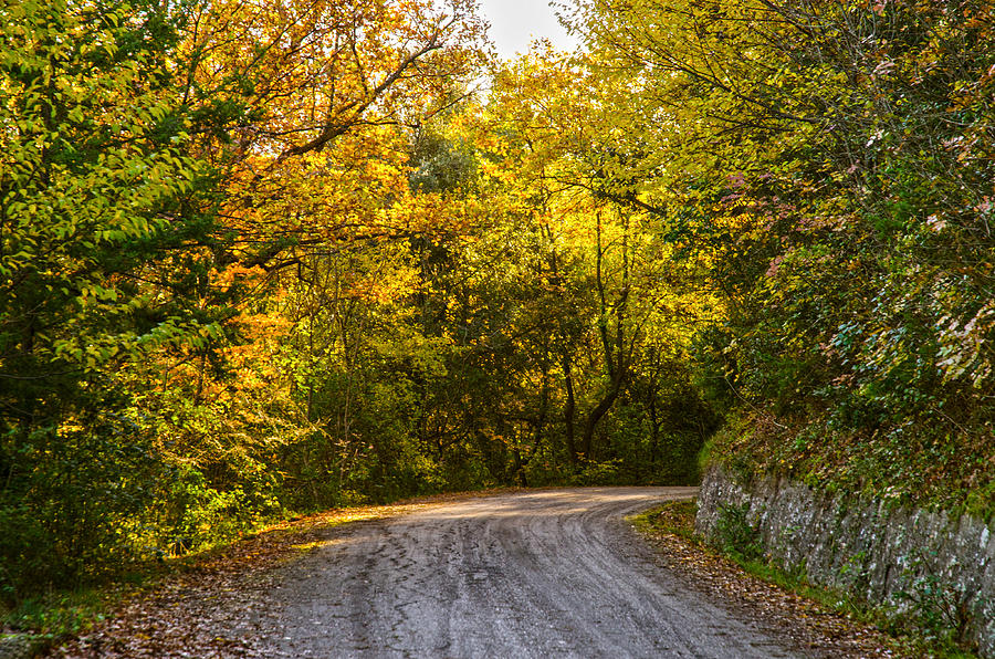An autumn landscape - HDR 2  Photograph by AM FineArtPrints