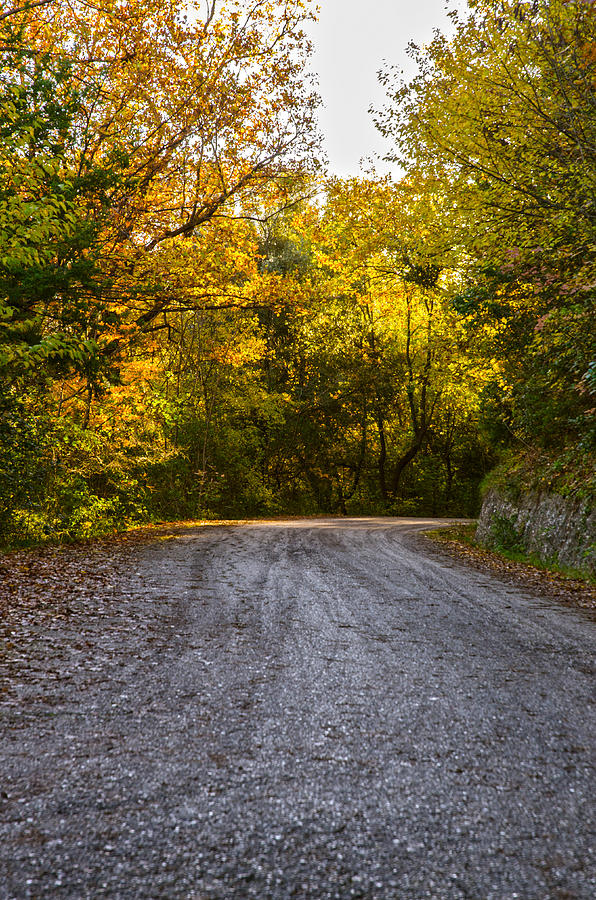 An autumn landscape - HDR Photograph by AM FineArtPrints