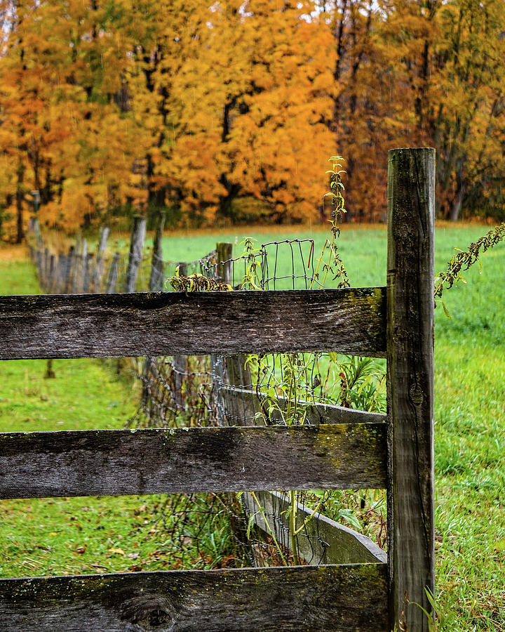 An autumn moment in the country Photograph by Kendall McKernon