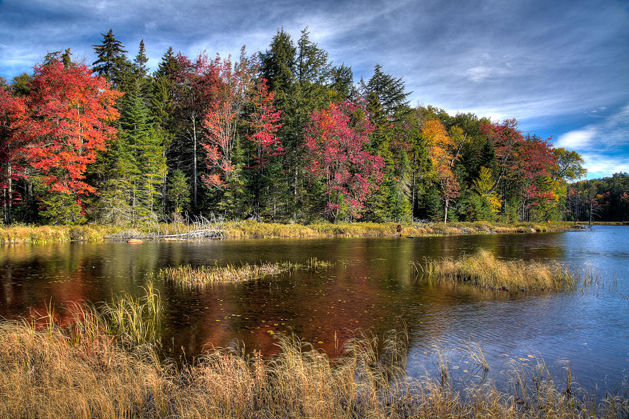 An Autumn Morning on Fly Pond Photograph by David Patterson