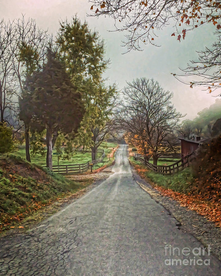 An Autumn Road Photograph by Kerri Farley
