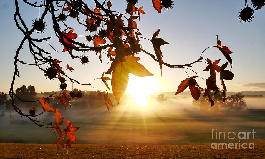 An Autumn Sunrise Photograph by Lexa Harpell