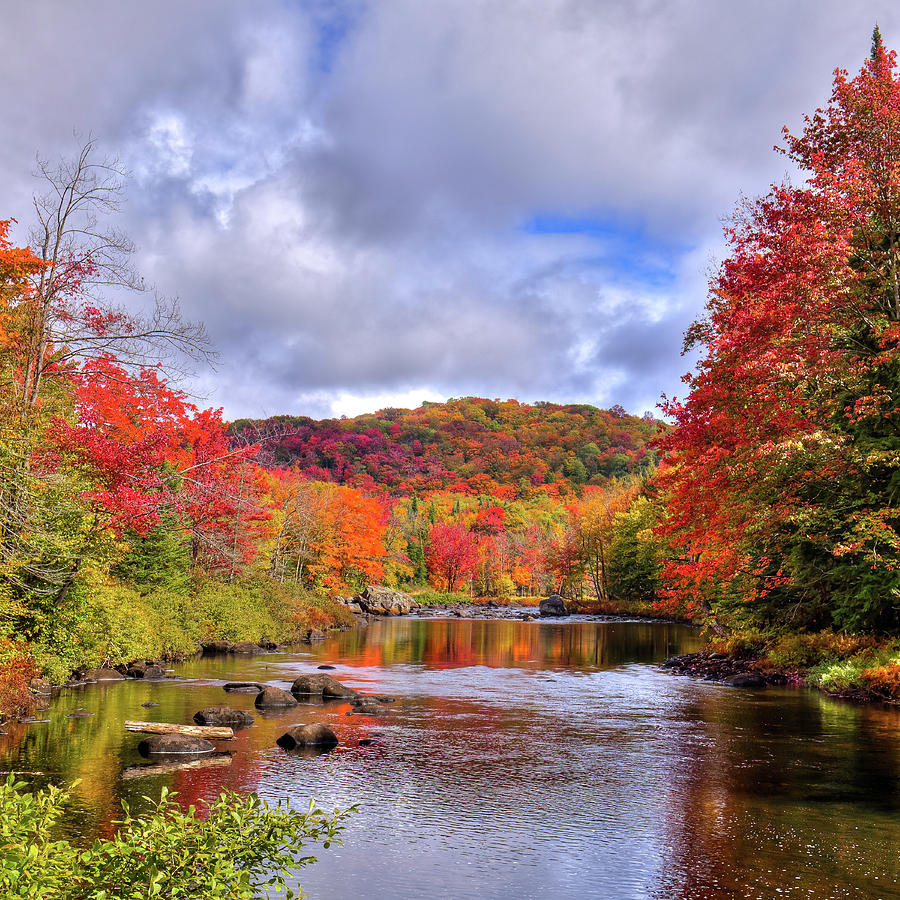 An Autumn to Remember Photograph by David Patterson