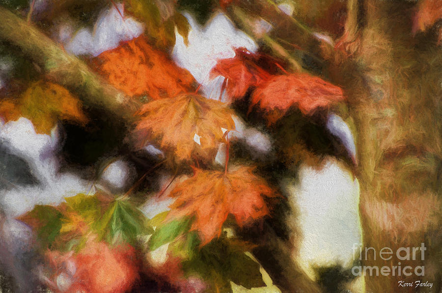 Fall Photograph - An Autumn Trousseau  by Kerri Farley