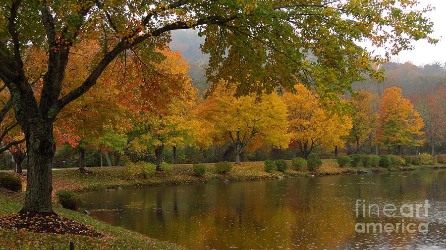 Tree Photograph - An Autumn View by Anita Adams