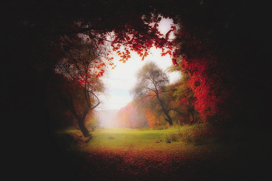An Autumn View Photograph by Mountain Dreams