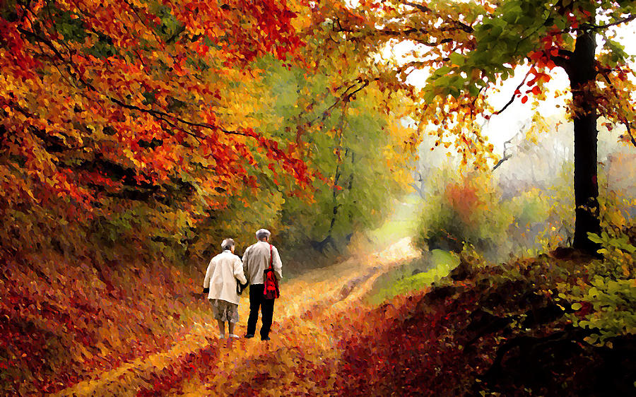 An Autumn Walk II Photograph by David Dehner