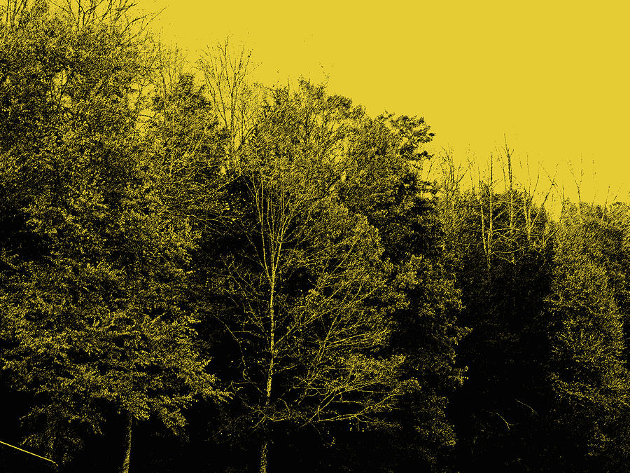 Tree Digital Art - An Autumnal Visit by Marian Bell