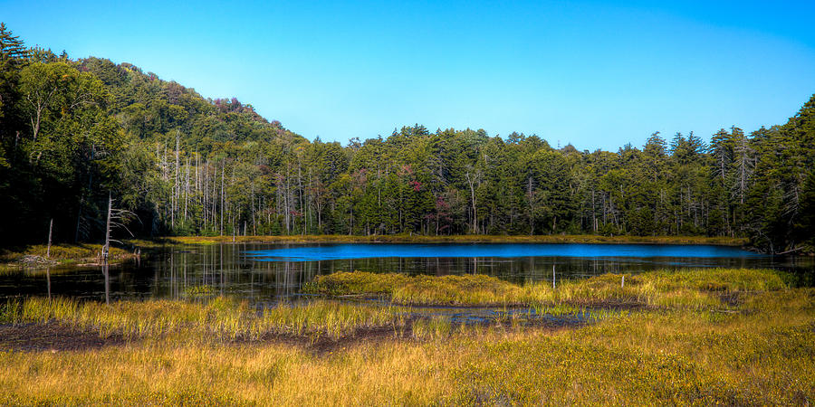 An Early Fall Day at Fly Pond Photograph by David Patterson