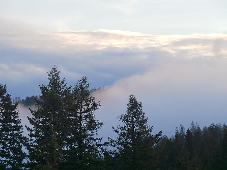 An Early Lighted Fog Photograph by Debbi Saccomanno Chan