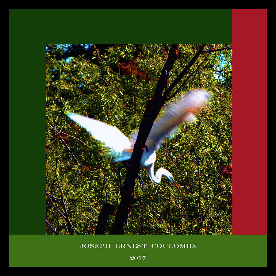 An Egret Sanctuary Digital Art by Joseph Coulombe