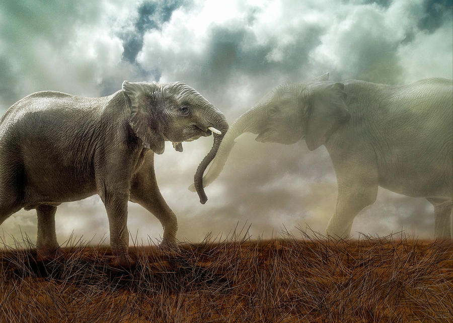 An Elephant Never Forgets by Nicole Wilde An Elephant Never Forgets by Nicole Wilde
