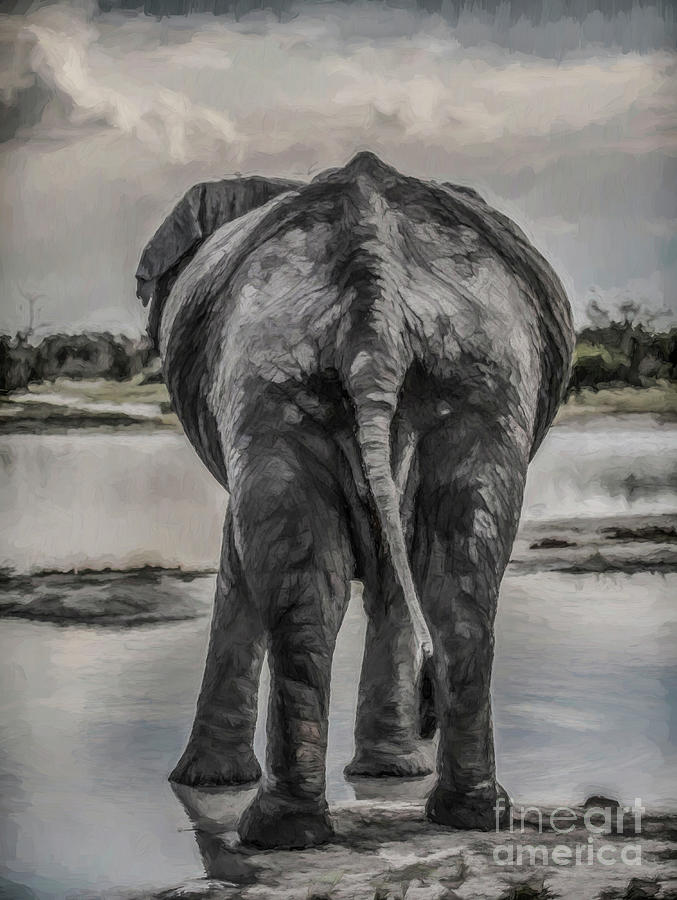 Nature Digital Art - An Elephants Tail by Liz Leyden