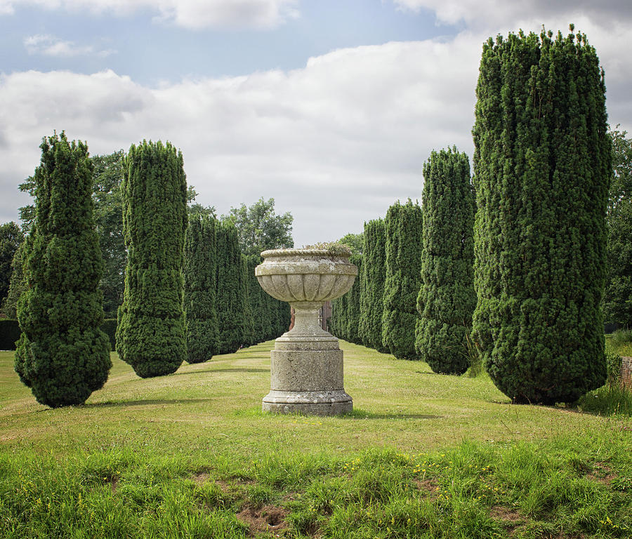 An English Country Garden Photograph