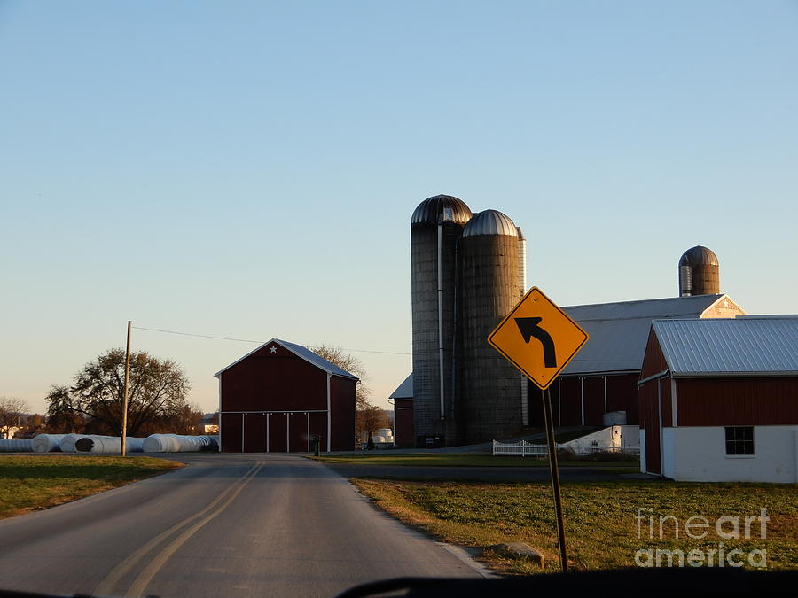 An Evening Drive in November Photograph by Christine Clark
