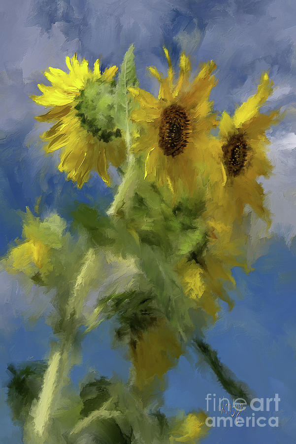 An Impression of Sunflowers In The Sun Photograph by Lois Bryan