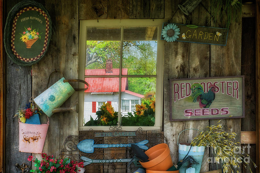 An Inviting Garden Shed Photograph by Priscilla Burgers