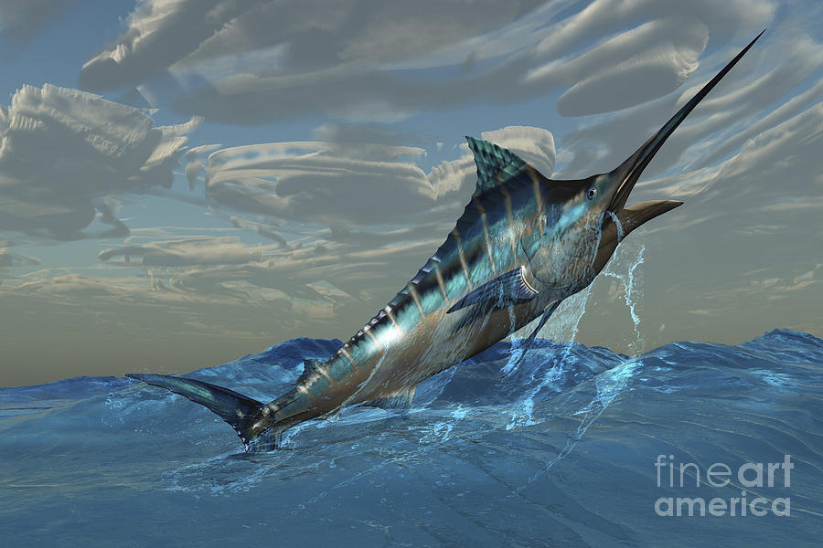 Swordfish Digital Art - An Iridescent Blue Marlin Bursts by Corey Ford