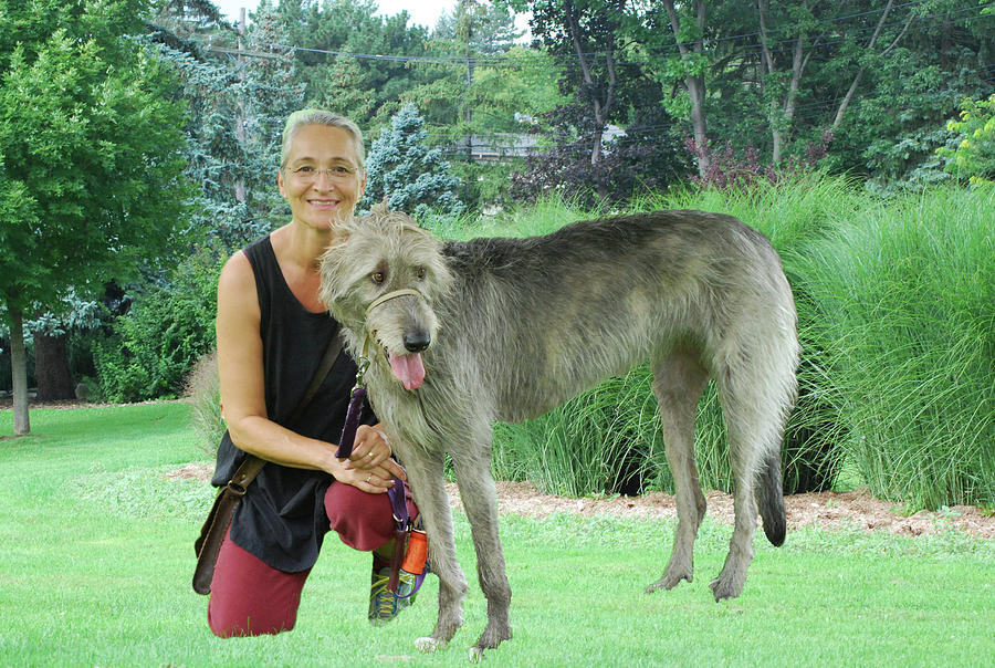An Irish Wolfhound And Friend Photograph by Ee Photography