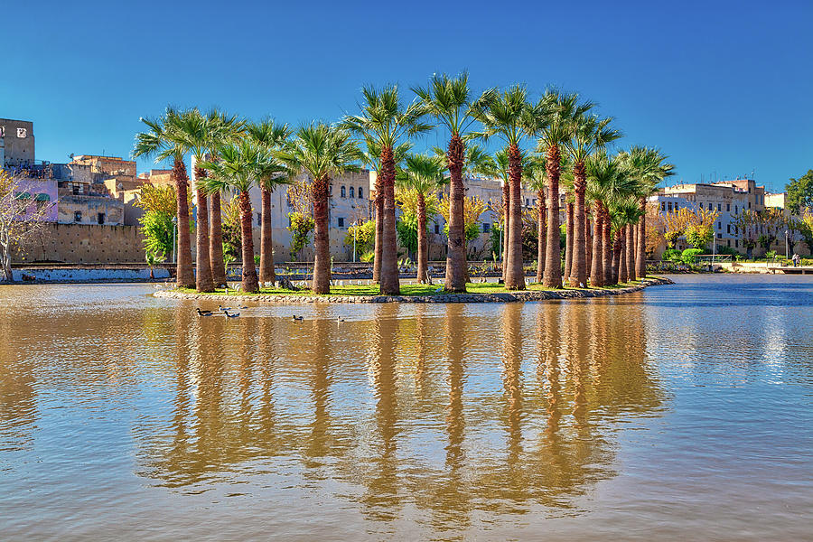 An island in the lake with date palms in the city of Fes in Morocco Photograph by Gina Koch