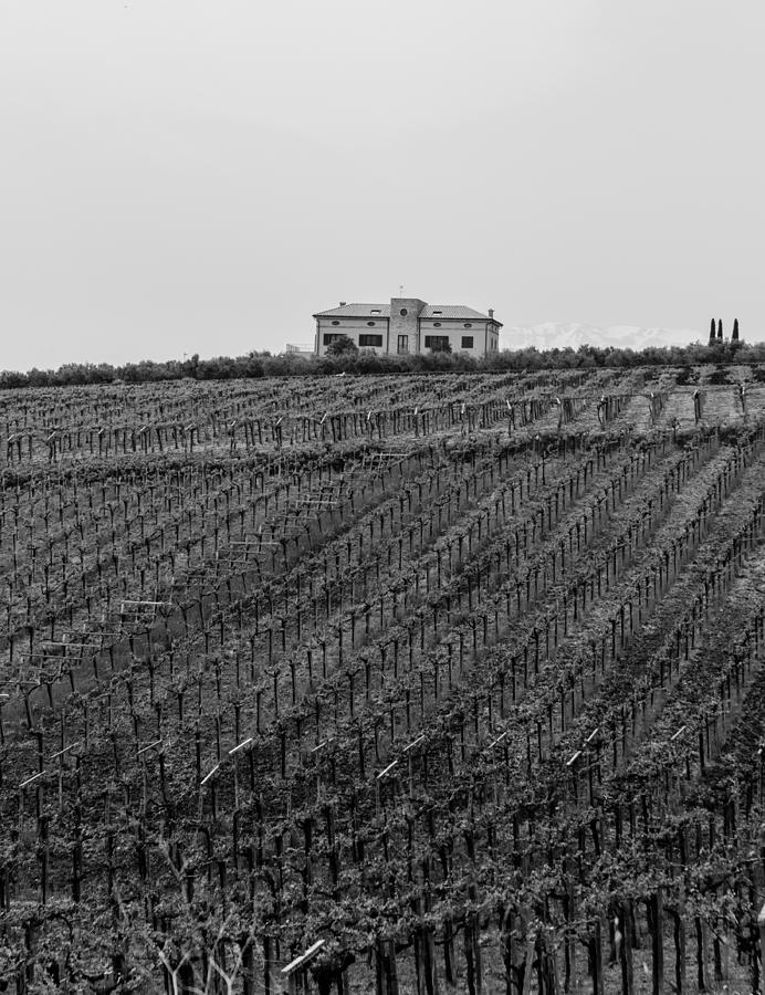 An italian farm in Abruzzo Photograph by AM FineArtPrints An italian farm in Abruzzo Photograph by AM FineArtPrints
