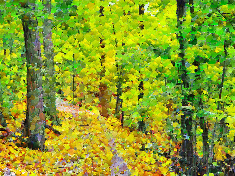 An October Walk in the Woods. 3 Digital Art by Digital Photographic Arts