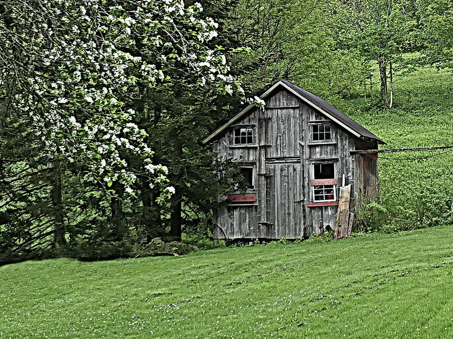 An Old Barn Photograph by Lyuba Filatova
