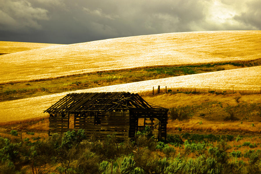 An Old Cabin In The Hills Photograph