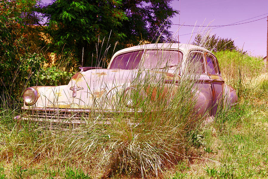 An old car left in the weeds Photograph by Jeff Swan