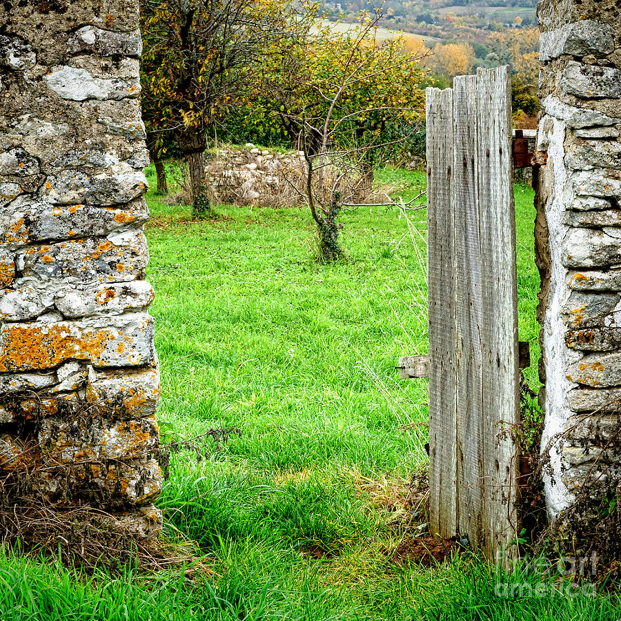 An Old French Orchard Photograph by Olivier Le Queinec