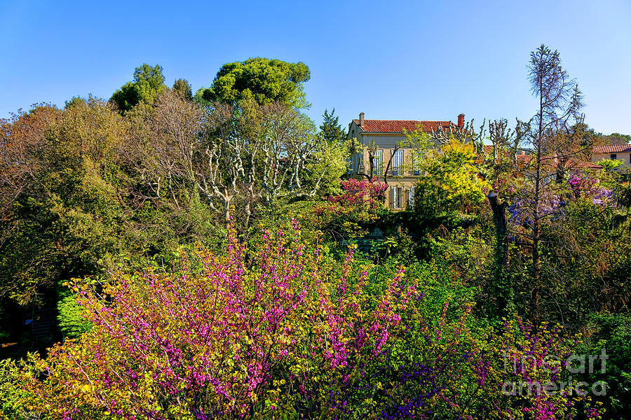 An Old House in Provence Photograph by Olivier Le Queinec