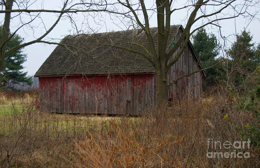 An Old Shed Photograph by Skip Willits