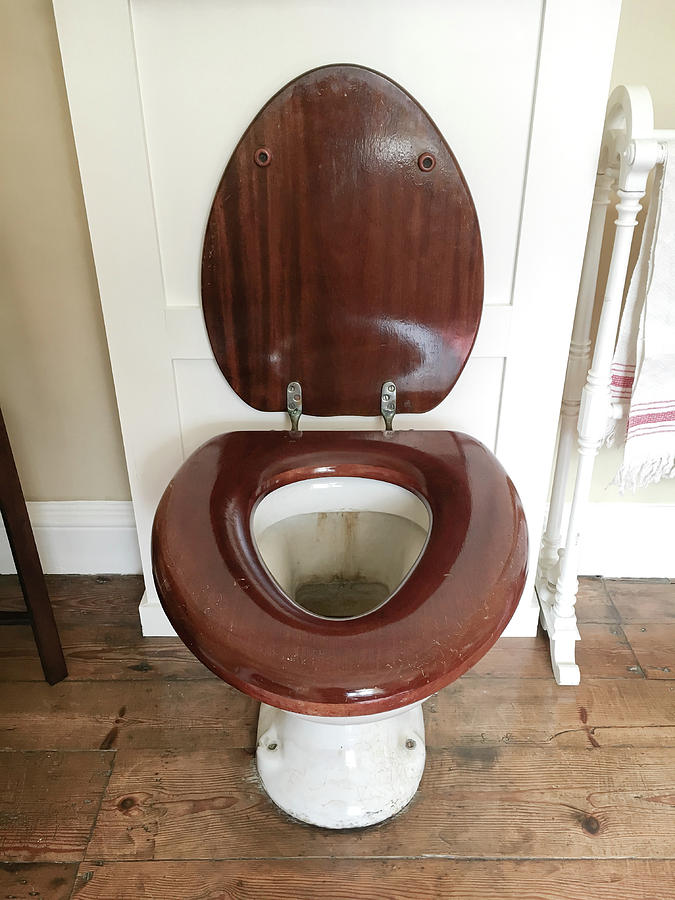 An old toilet Photograph by Tom Gowanlock