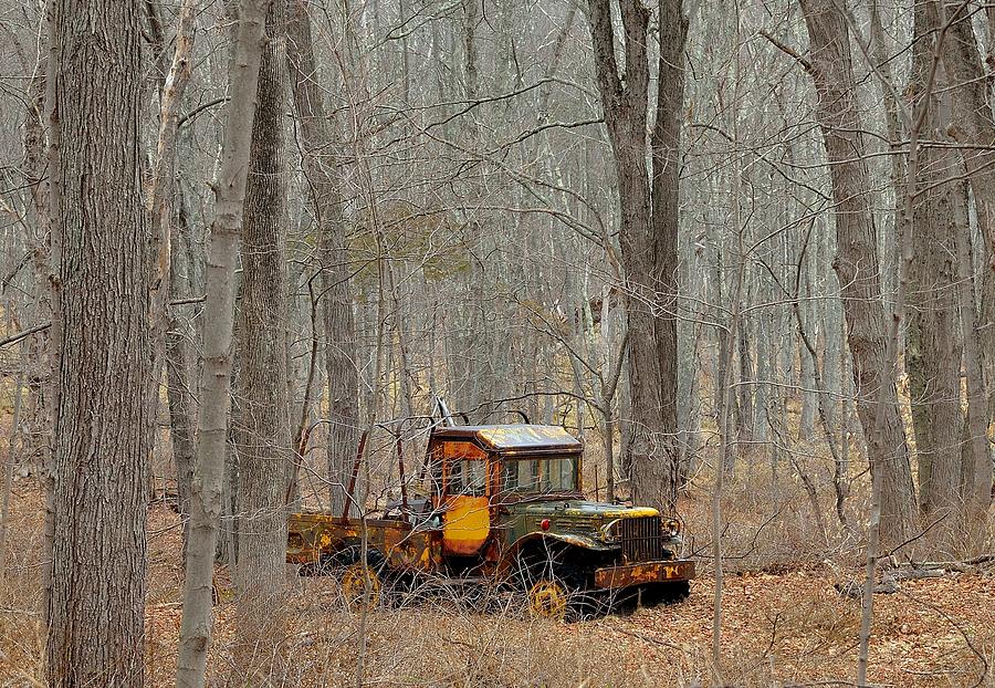 Tree Photograph - An old truck in the woods. by Kurt Von Dietsch