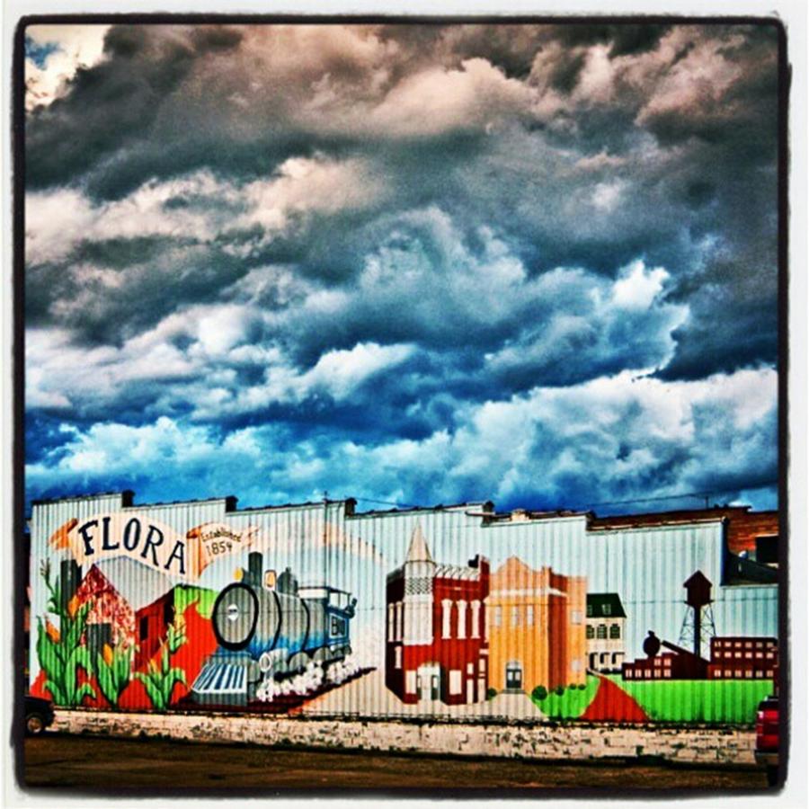 Sign Photograph - An Older One. Flora, Il Mural At North by Alex Haglund