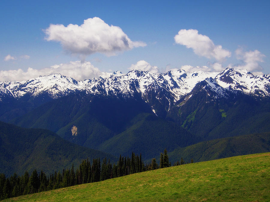 Olympic National Park Photograph - An Olympic Spring by Robert Cross