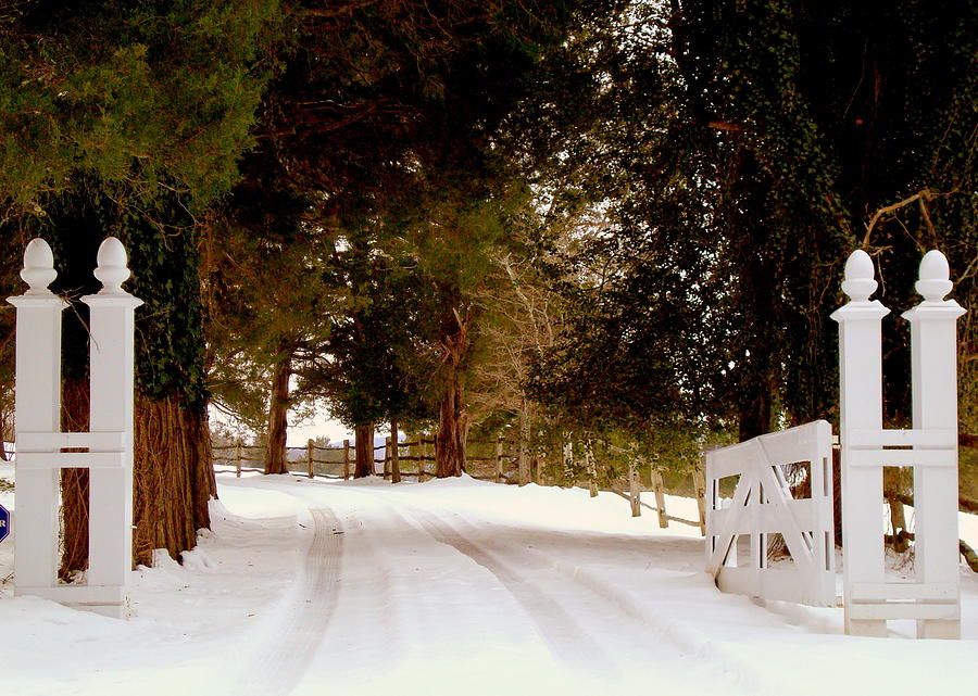 Winter Photograph - An Open Gate in Winter by Arlane Crump