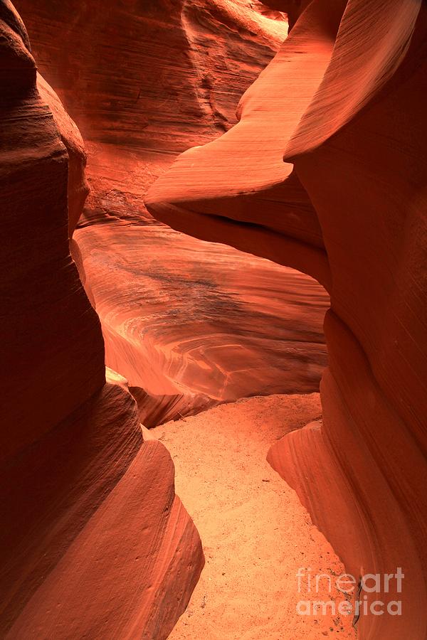 An Orange Path of Sandstone Photograph by Adam Jewell