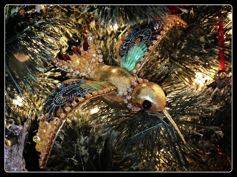 An Ornament on the Tree Photograph by Scott Kingery