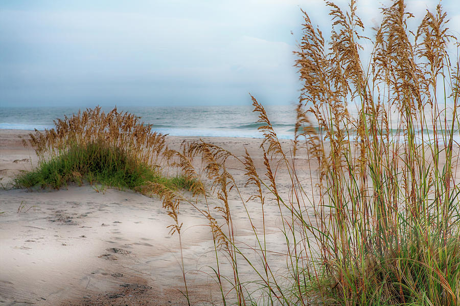 An Outer Banks Beach Photograph by Dan Carmichael