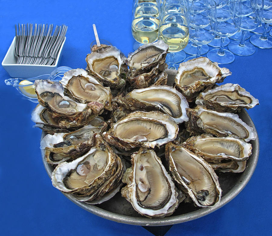 An Oyster Plate Photograph by Dave Mills