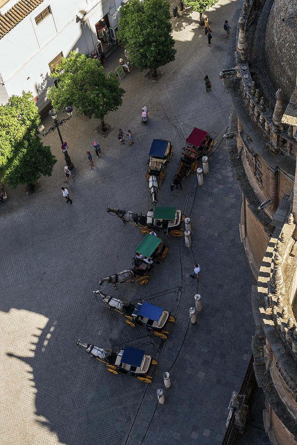 An Unusual Perspective on the Charming Horse Drawn Carriages in Seville Spain Photograph by Georgia Mizuleva