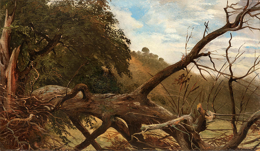 An Uprooted Tree Painting by Robert Zuend