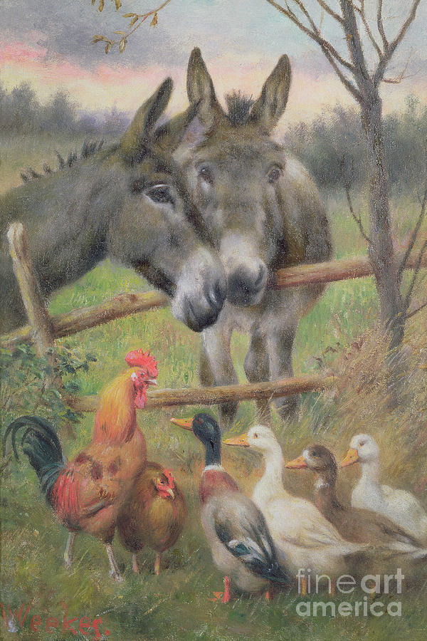 Animal Painting - An Urban Council  by Herbert William Weekes