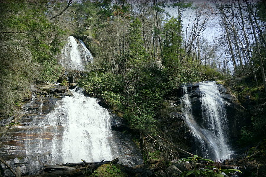 Anna Ruby Falls Photograph by Laurie Perry