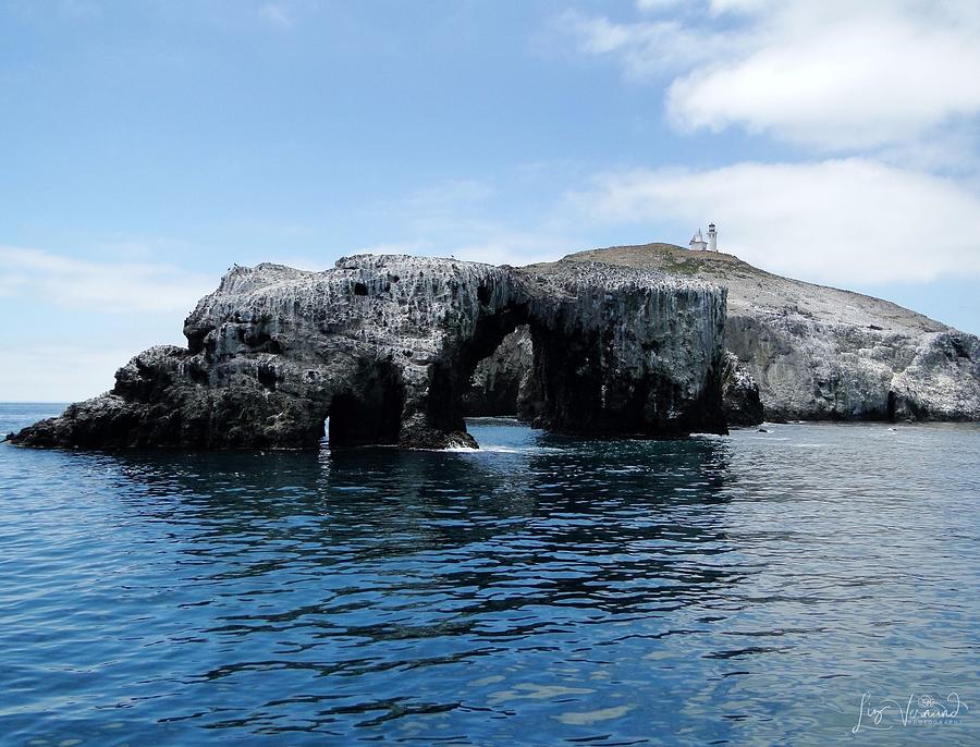 Anacapa Island Arch - Channel Islands Photograph by Liz Vernand