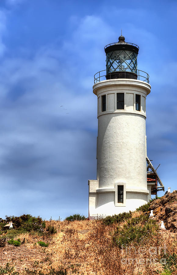 Anacapa Island Lighthouse Photograph by Eddie Yerkish