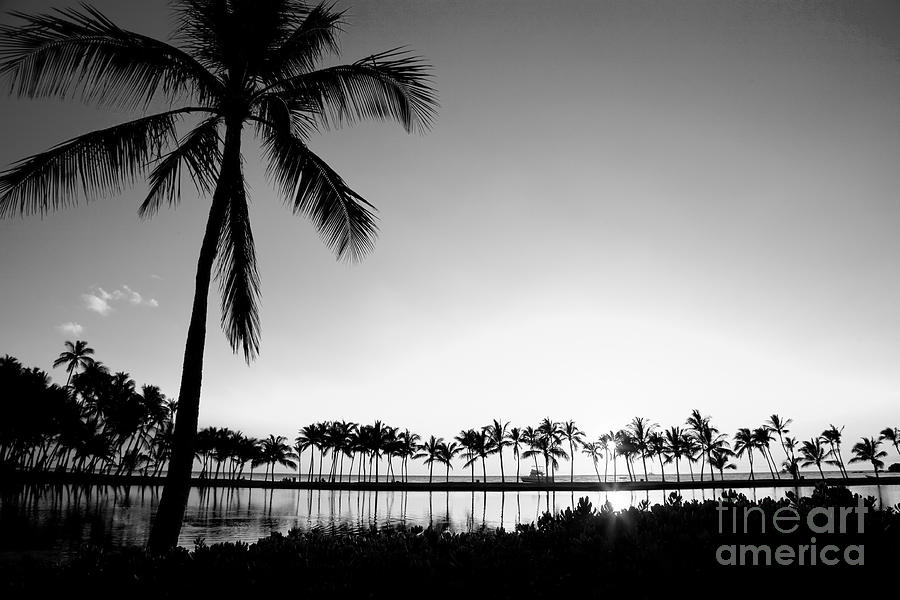 Beaches Photograph - Anaehoomalu Beach From The Grass by Greg Clure Beaches Photograph - Anaehoomalu Beach From The Grass by Greg Clure