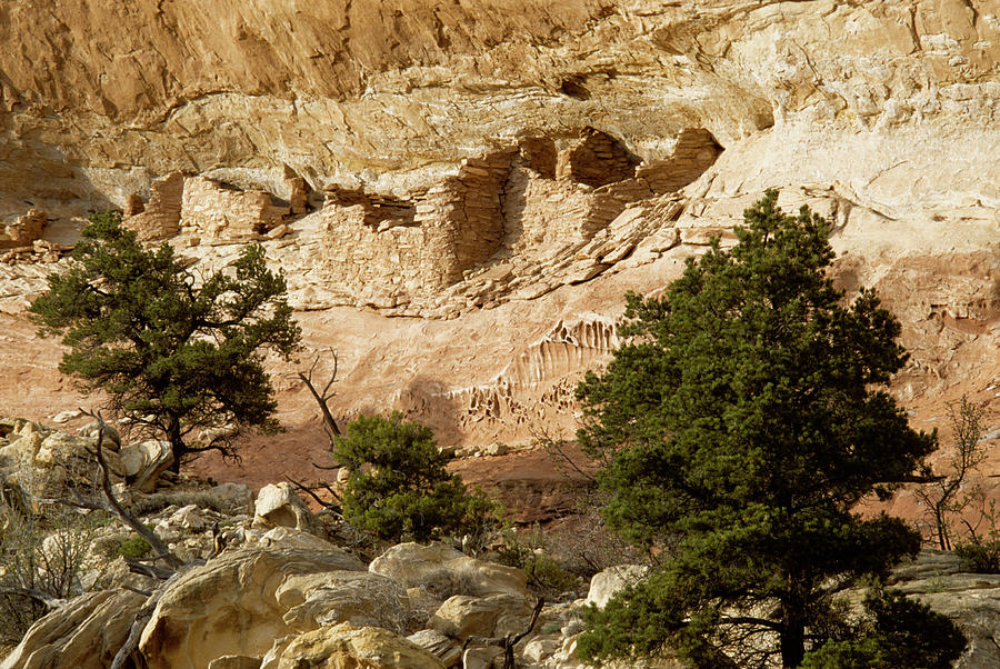 Anasazi Dwelling Photograph by John Farley