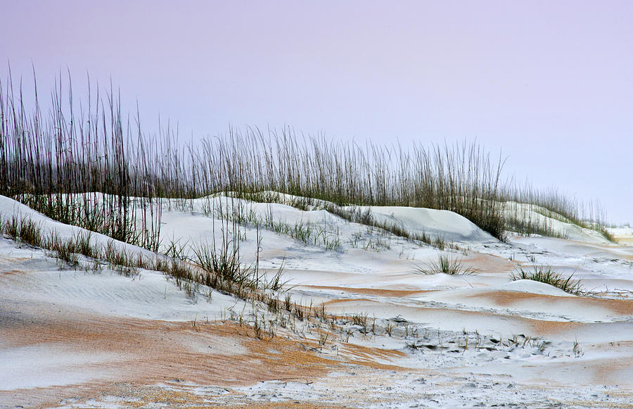 Anastasia Sand Dunes No. 2 Photograph by Carol Eade